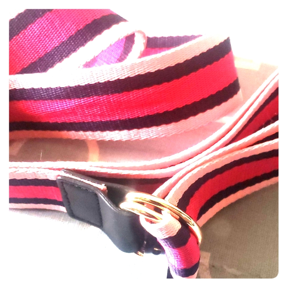 Express pink/ blue stripe canvas belt